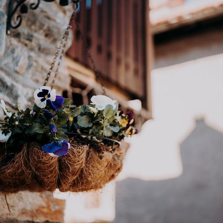 Le Chalet Du Village Chambave Ngoại thất bức ảnh